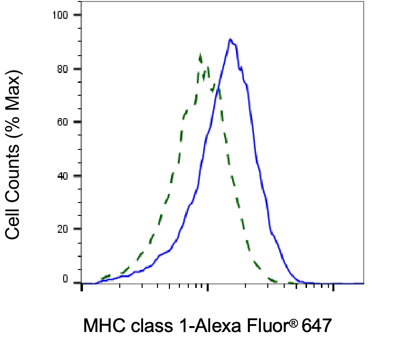 HLA Class I Antibody (24GB6040)