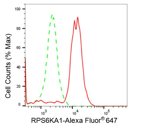 RSK1 Antibody (23GB2080)