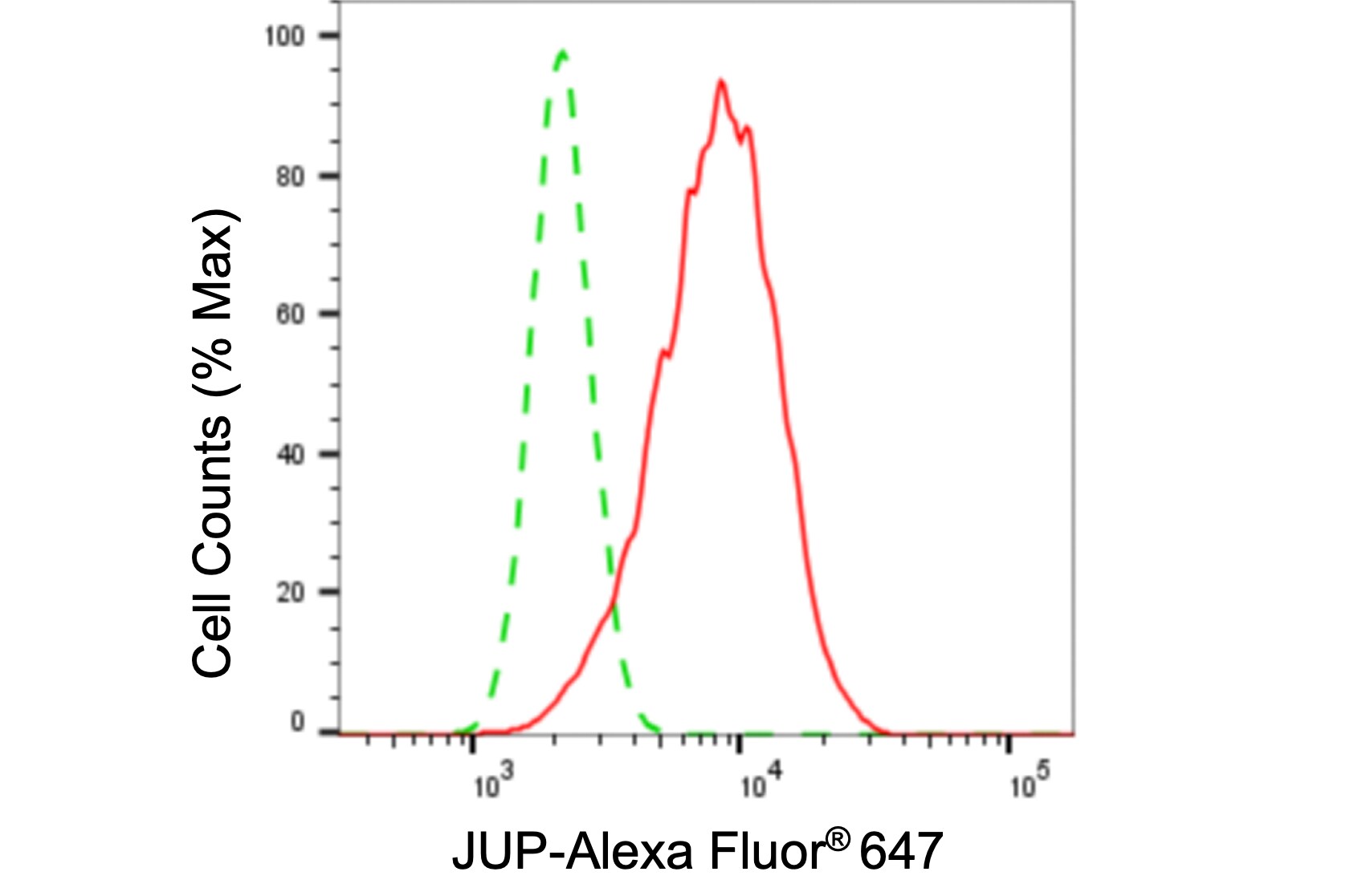 gamma Catenin Antibody (24GB6055)