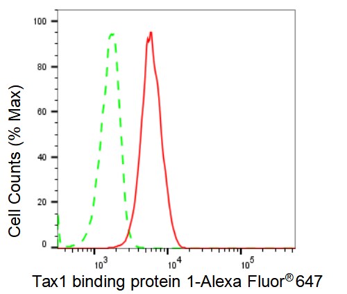 TAX1BP1 Antibody (23GB2100)