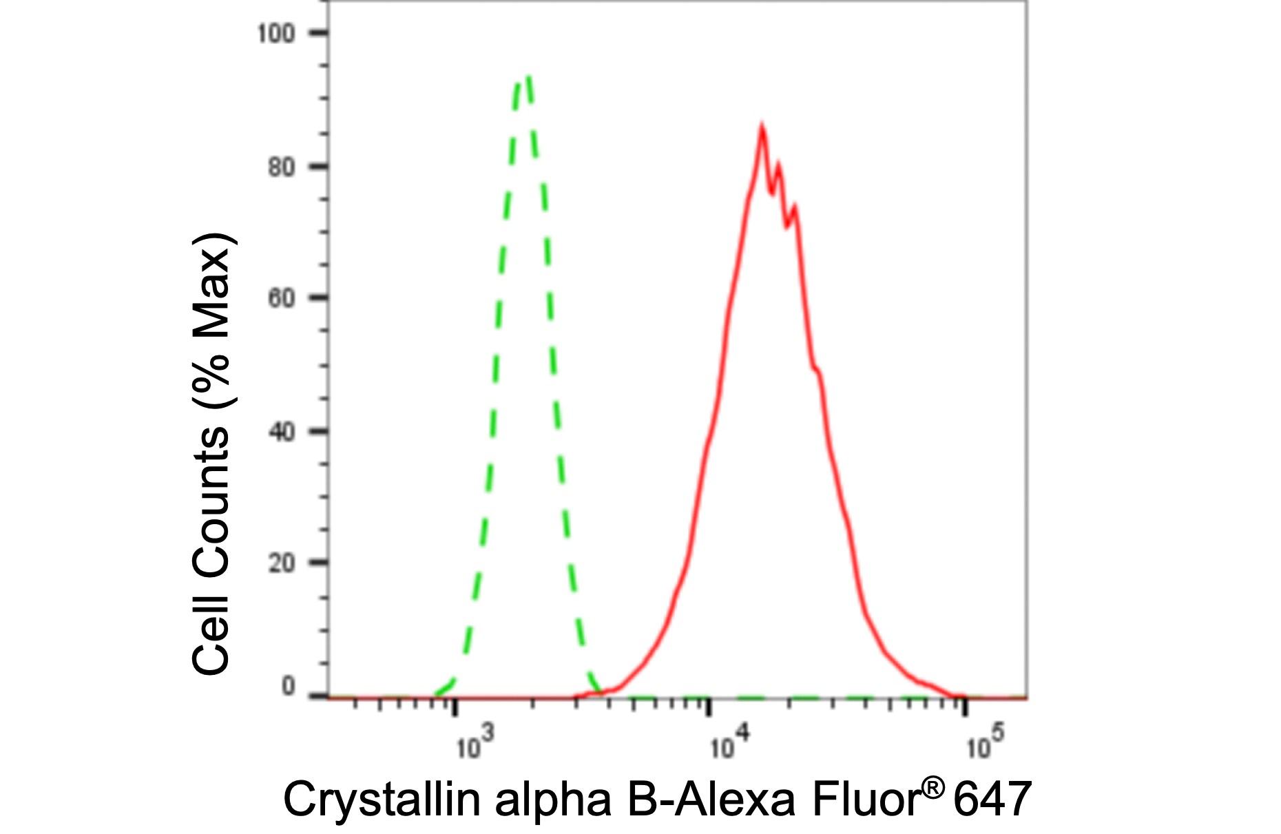 AlphaB Crystallin/CRYAB Antibody (24GB6070)
