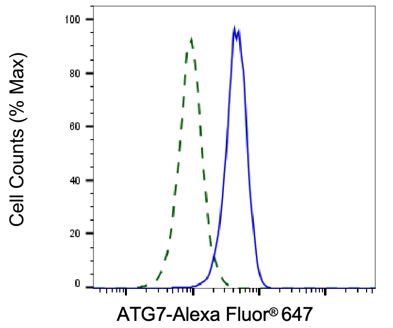 ATG7 Antibody (24GB6075)