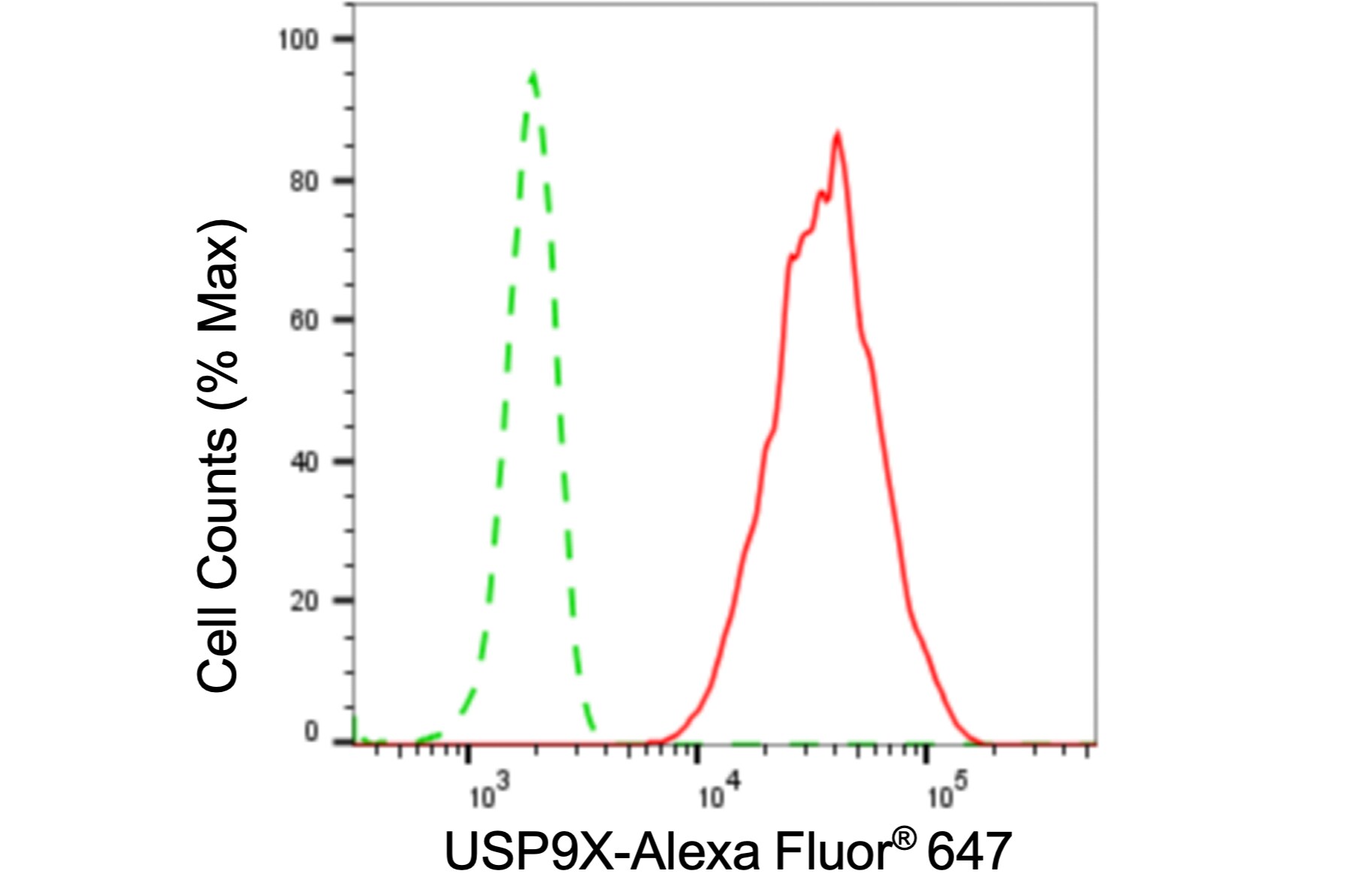 USP9x Antibody (24GB6090)