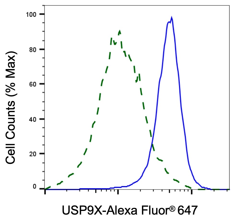 USP9x Antibody (24GB6090)