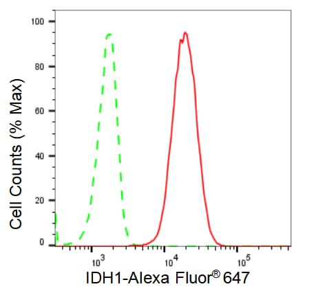 Isocitrate Dehydrogenase 1/IDH1 Antibody (23GB2105)