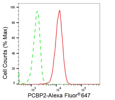 PCBP2 Antibody (23GB2110)