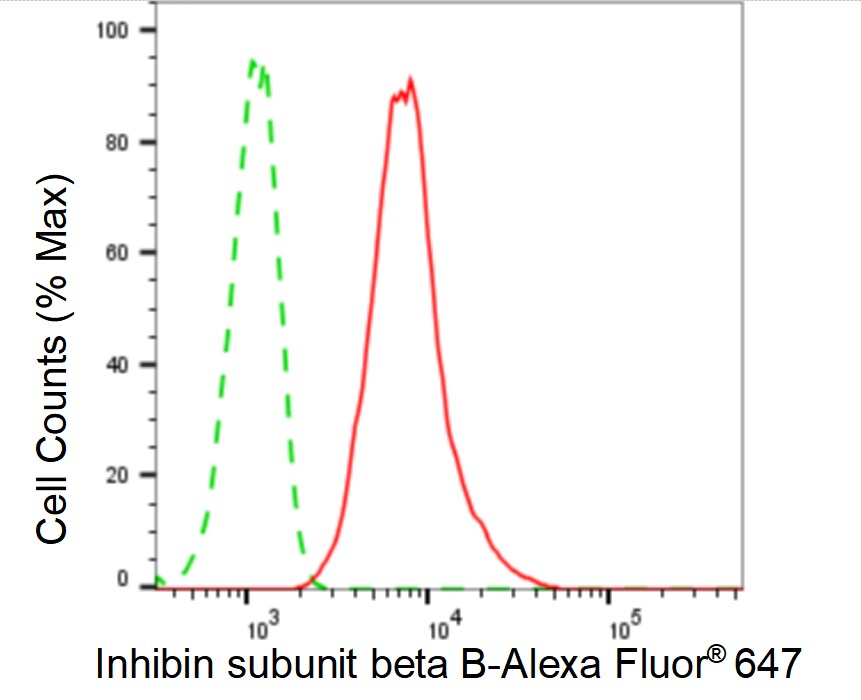 Activin B/Inhibin beta B Antibody (24GB6100)