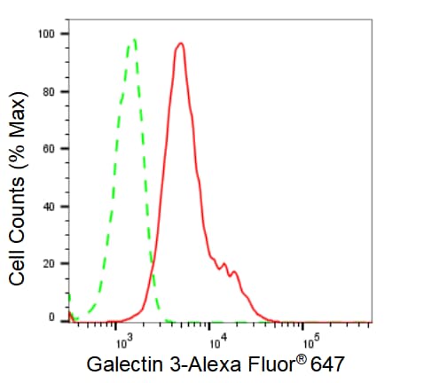 Galectin-3 Antibody (23GB2130)