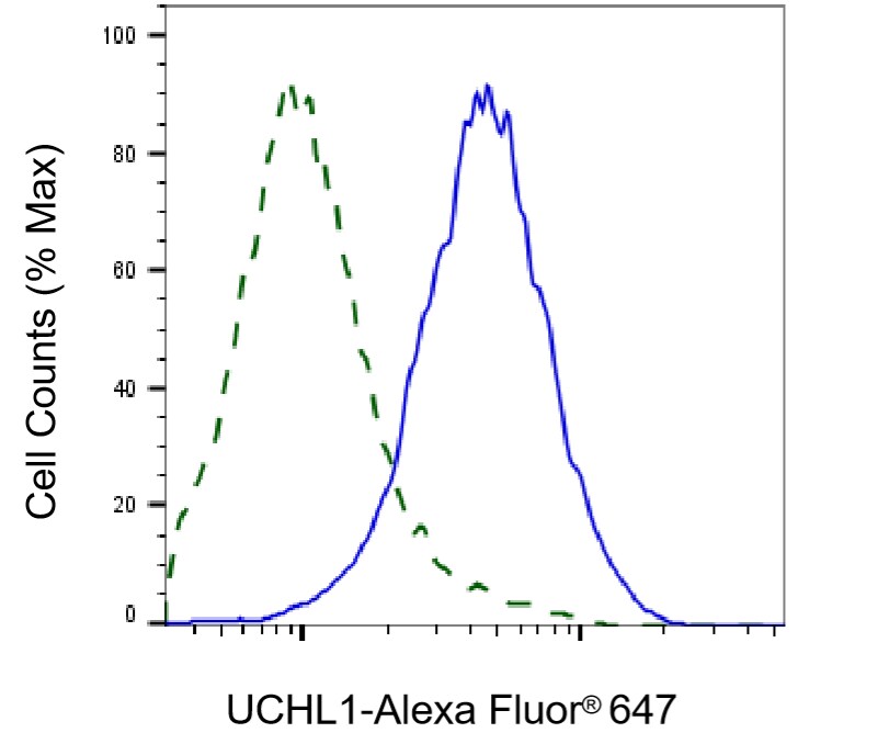 UCH-L1/PGP9.5 Antibody (23GB2135)