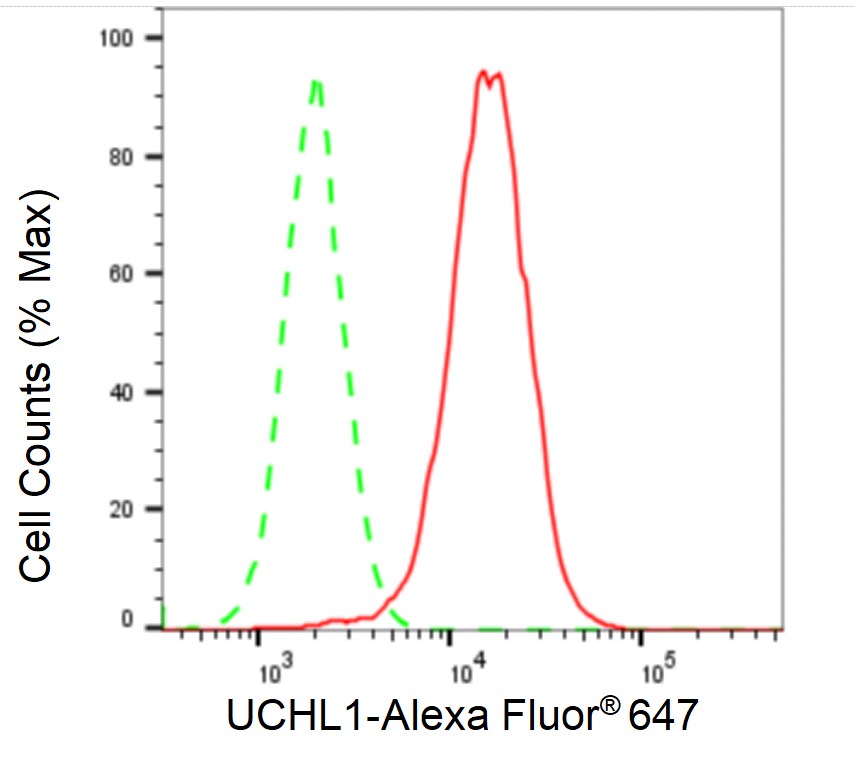 UCH-L1/PGP9.5 Antibody (23GB2135)