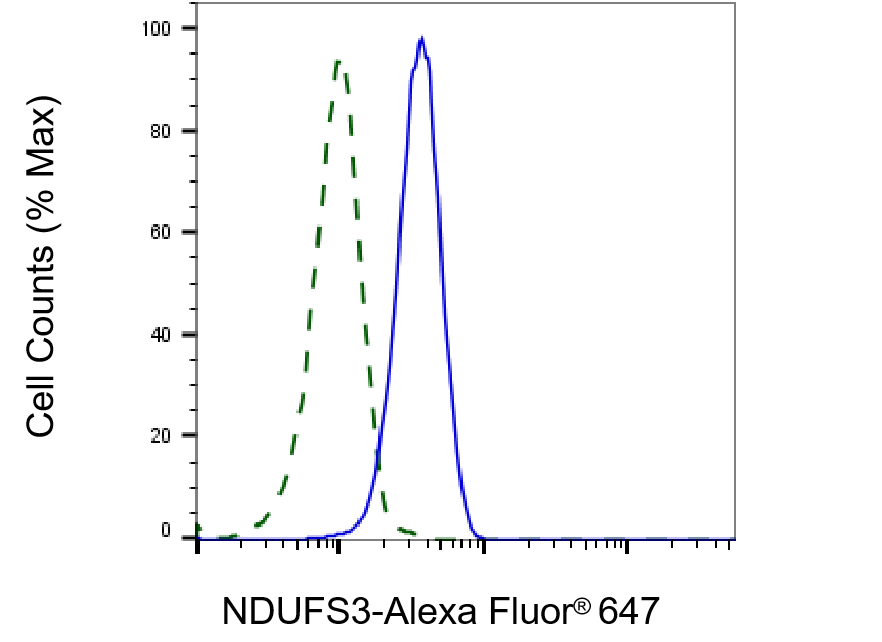 NDUFS3 Antibody (23GB2145)