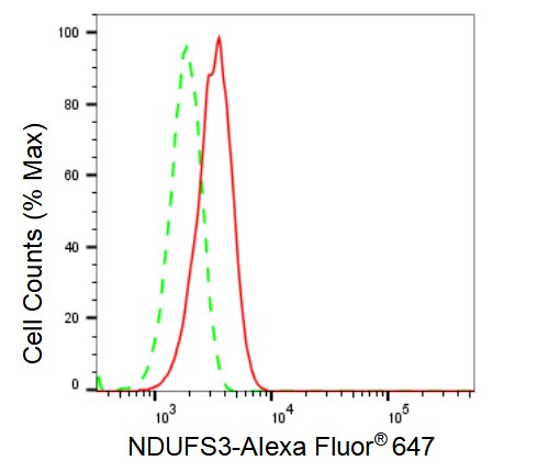 NDUFS3 Antibody (23GB2145)