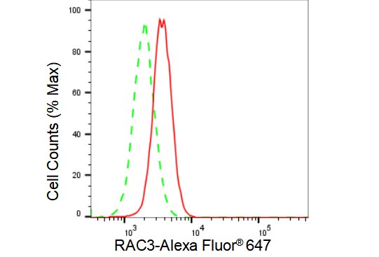 RAC3 Antibody (23GB2175)