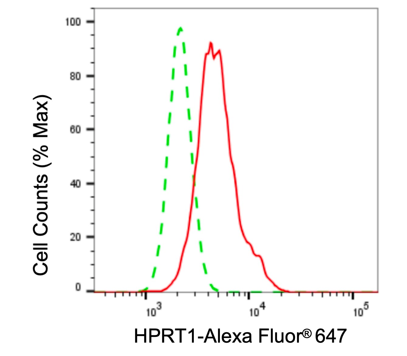 HPRT Antibody (24GB6185)