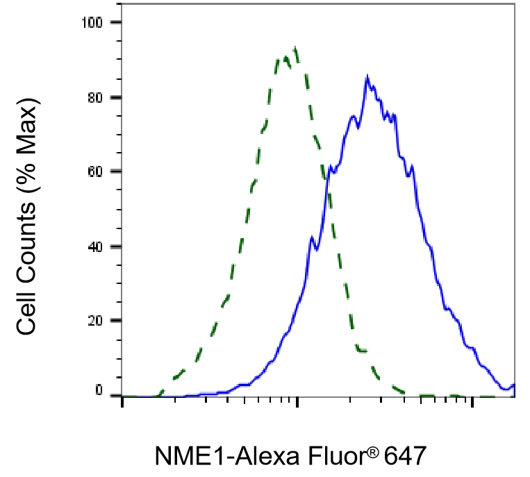 NM23-H1 Antibody (23GB2195)