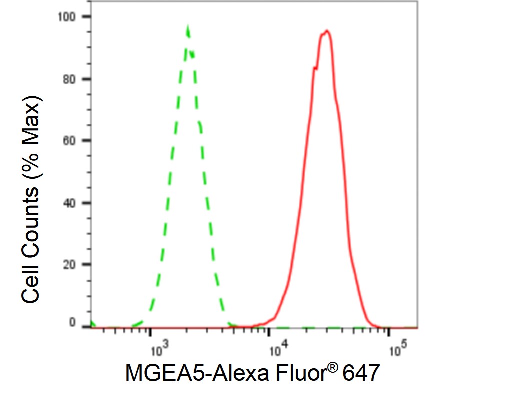 O-GlcNAcase/OGA/MGEA5 Antibody (24GB6120)