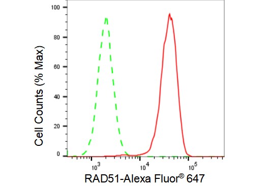 Rad51 Antibody (23GB2275)