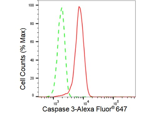 Caspase-3 Antibody (23GB2280)