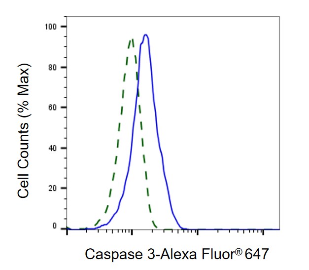 Caspase-3 Antibody (23GB2280)