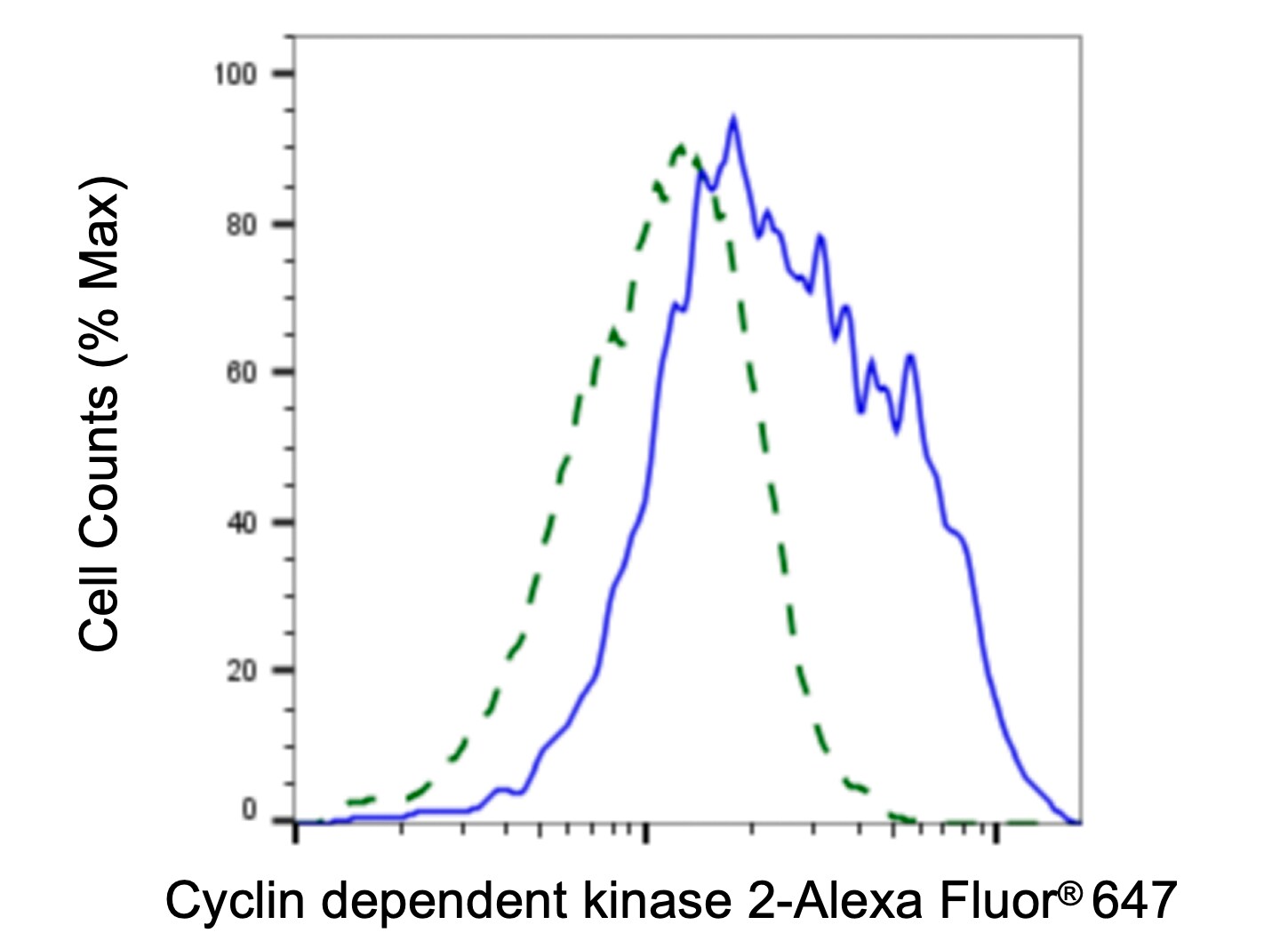 CDK2 Antibody (23GB2295)