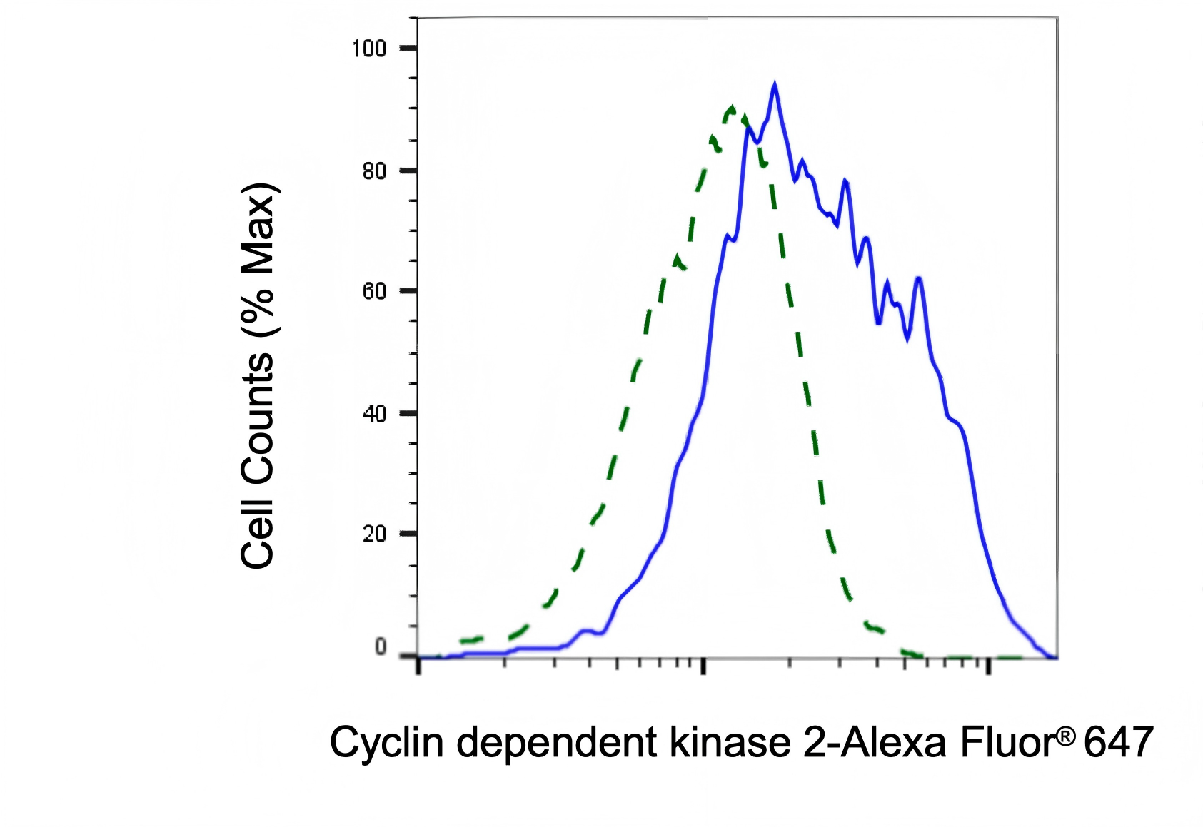 CDK2 Antibody (23GB2295)