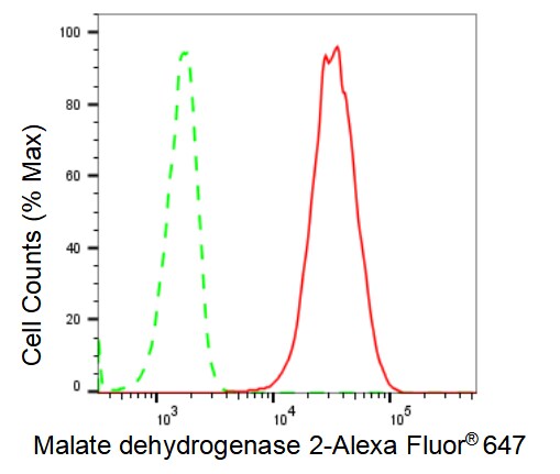 MDH2 Antibody (23GB2325)