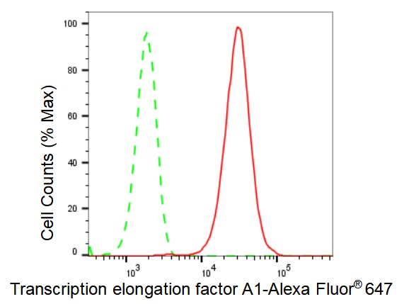 TCEA1 Antibody (23GB2335)