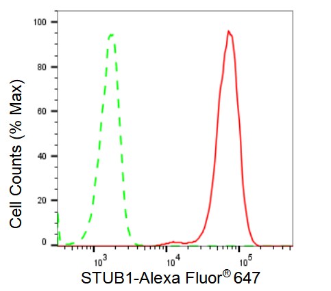 CHIP/STUB1 Antibody (23GB2345)