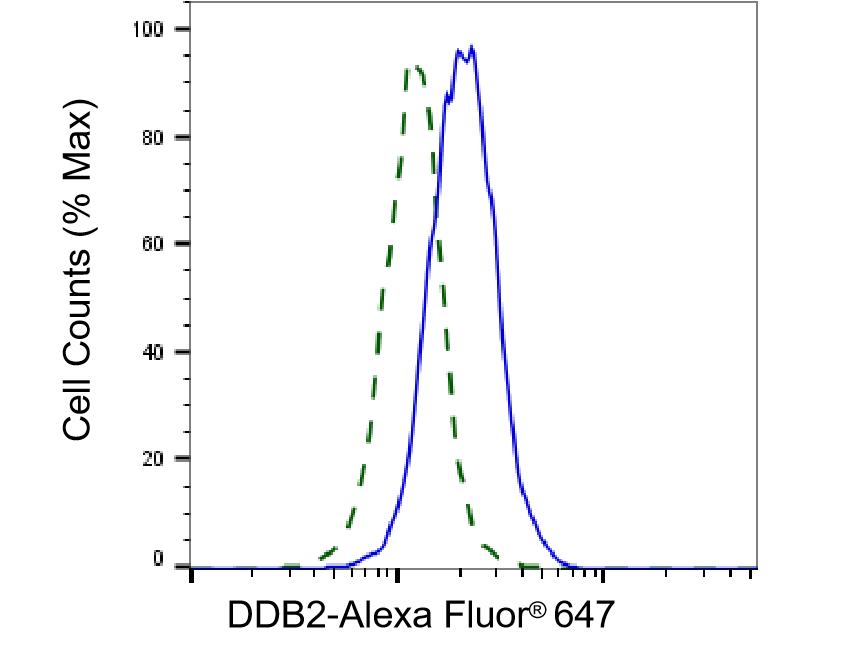 XPE/DDB2 Antibody (23GB2805)