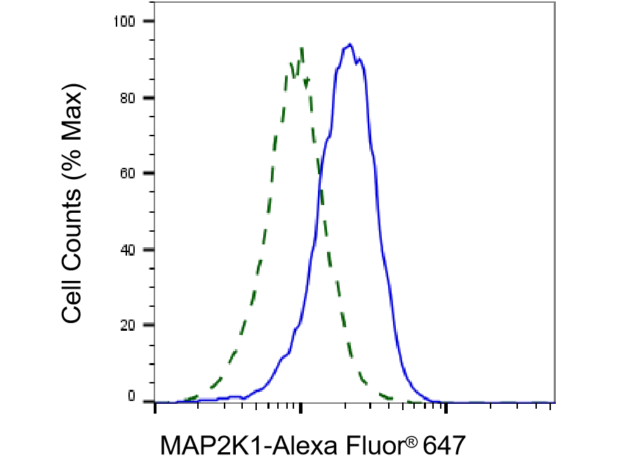 MEK1 Antibody (23GB2475)