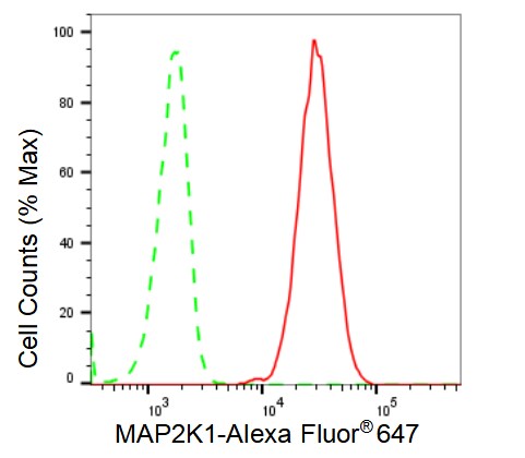 MEK1 Antibody (23GB2475)