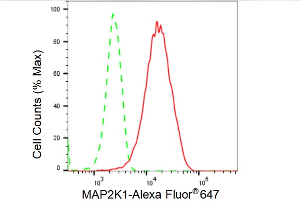 MEK1 Antibody (23GB2940)