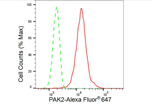 PAK2 Antibody (23GB2595)