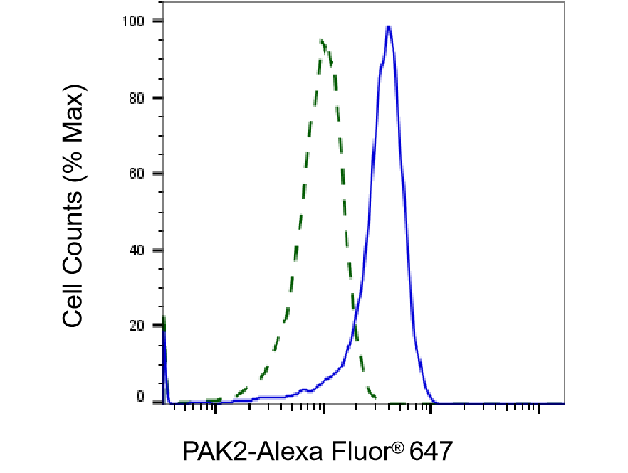 PAK2 Antibody (23GB2595)