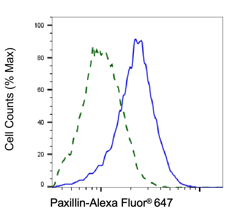 Paxillin Antibody (23GB2690)