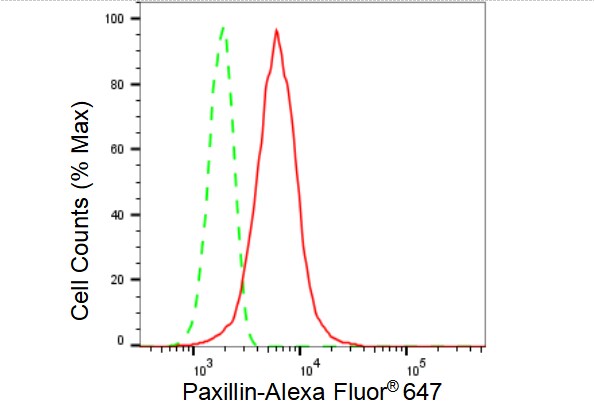 Paxillin Antibody (23GB2690)