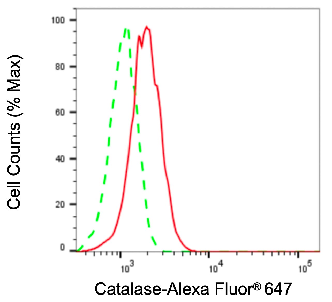 Catalase Antibody (23GB2625)