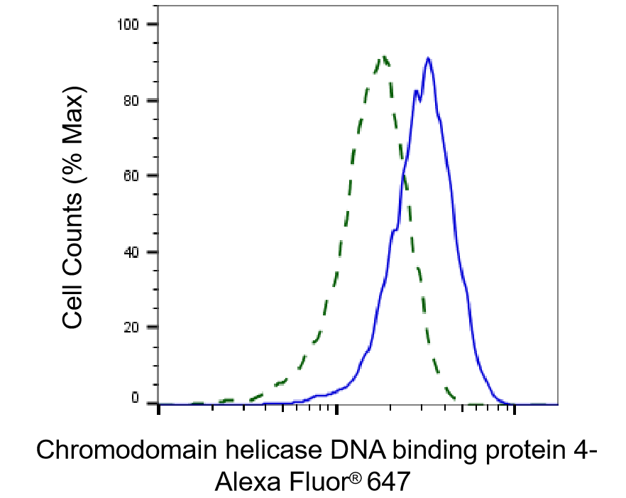 CHD4 Antibody (23GB1310)