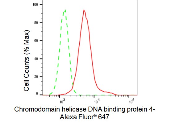 CHD4 Antibody (23GB1310)