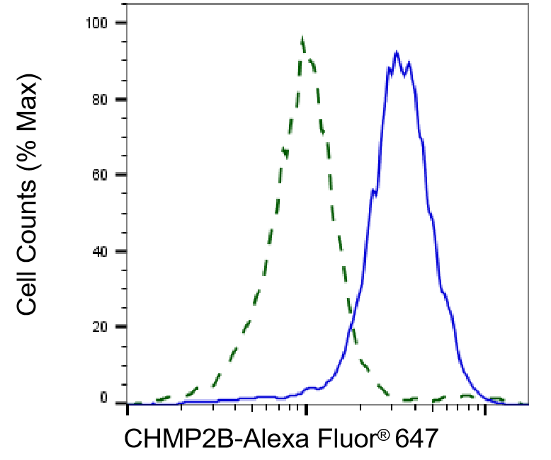 CHMP2B Antibody (23GB3070)