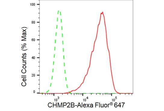 CHMP2B Antibody (23GB3070)