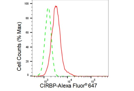 CIRBP Antibody (23GB7980)