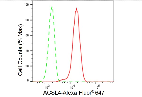 FACL4 Antibody (23GB2960)
