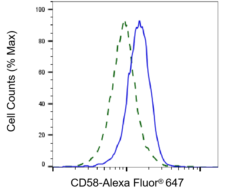 CD58/LFA-3 Antibody (23GB3050)