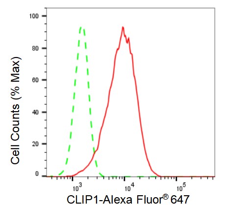 CLIP170 Antibody (23GB3080)