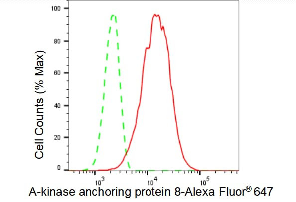AKAP95/AKAP8 Antibody (23GB2970)