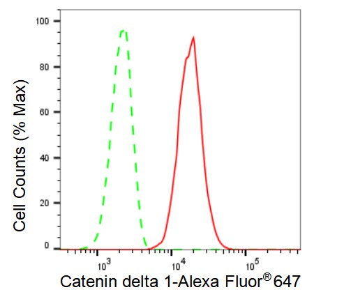 p120-catenin Antibody (23GB3025)