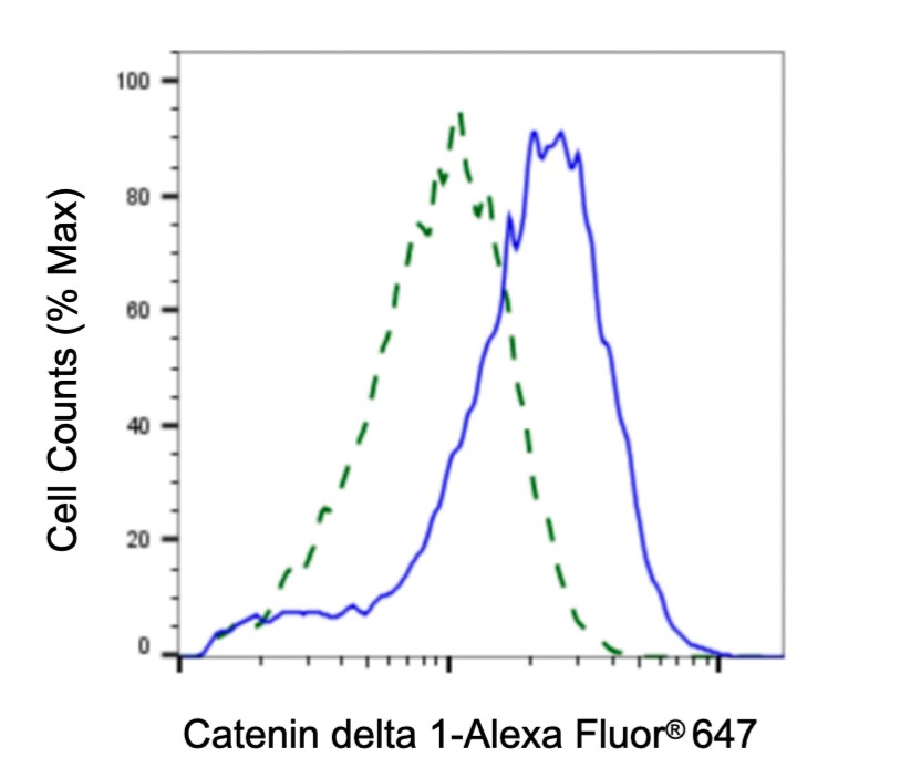 p120-catenin Antibody (23GB3025)
