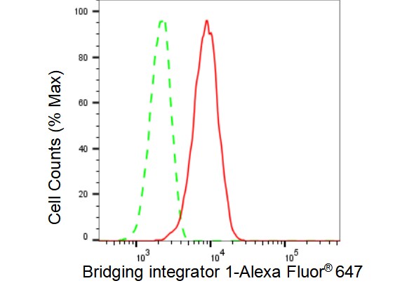 BIN1 Antibody (23GB3010)