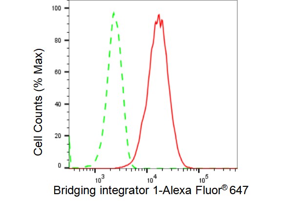 BIN1 Antibody (23GB3265)
